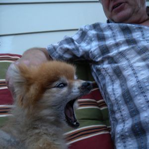 Meet your Posher, Darker